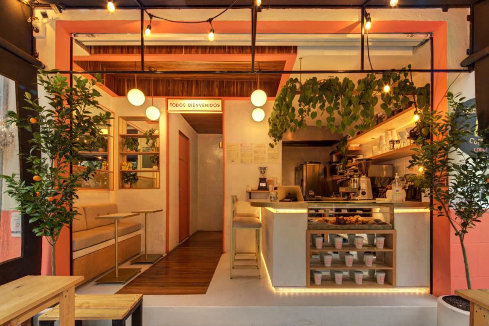 Nice Day Coffee - specialty coffee shop in Cuauhtémoc