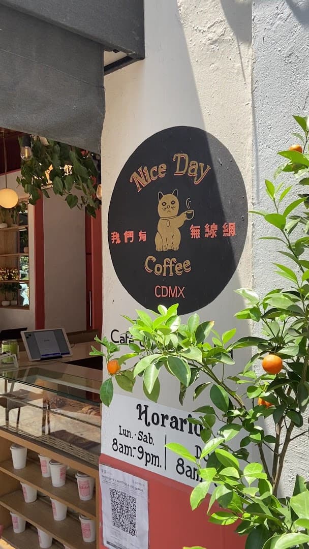 Nice Day Coffee - specialty coffee shop in Cuauhtémoc
