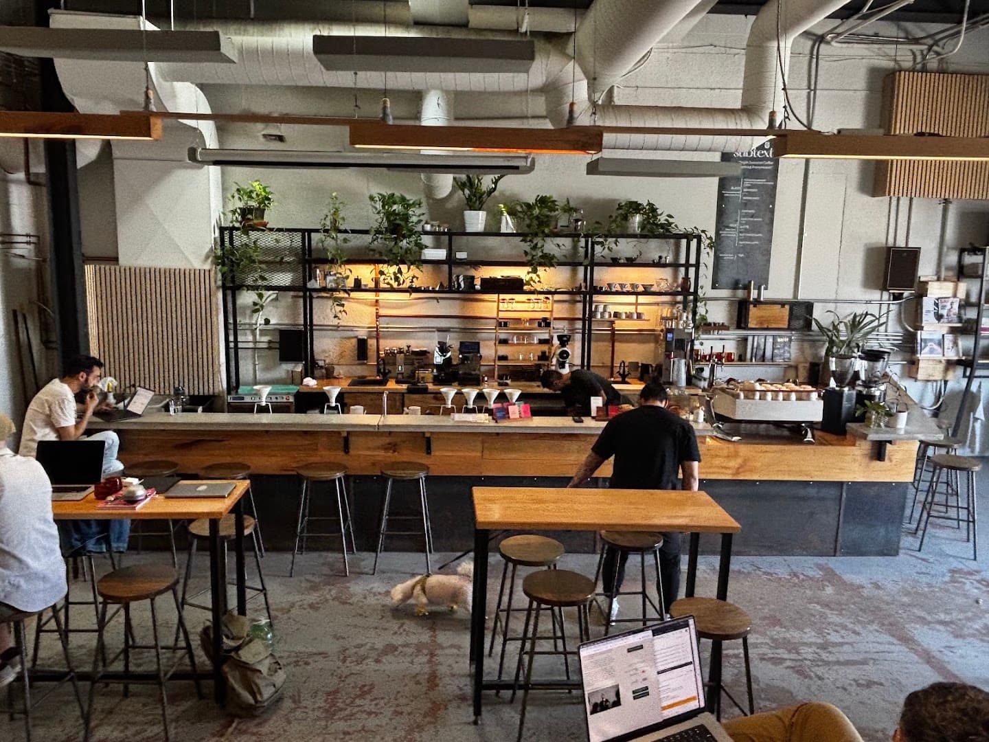 Interior of Subtext Coffee Roasters, specialty coffee shop in Toronto