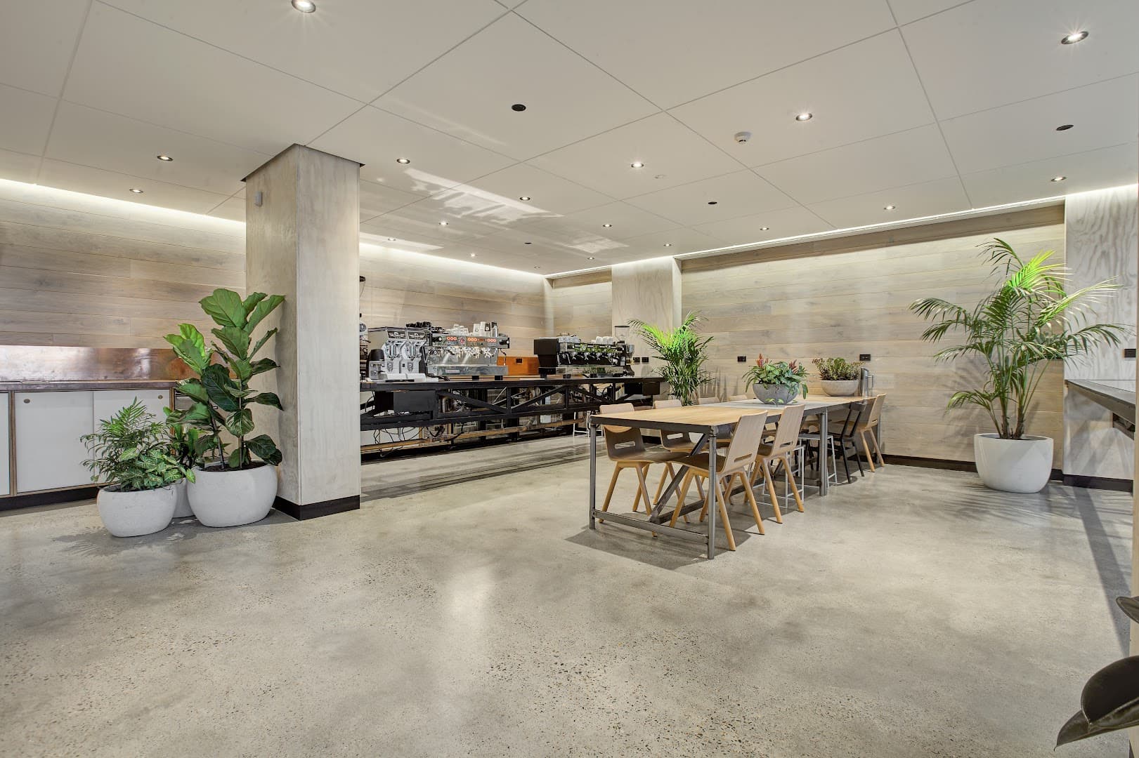 Gabriel Coffee - specialty coffee shop in Sydney