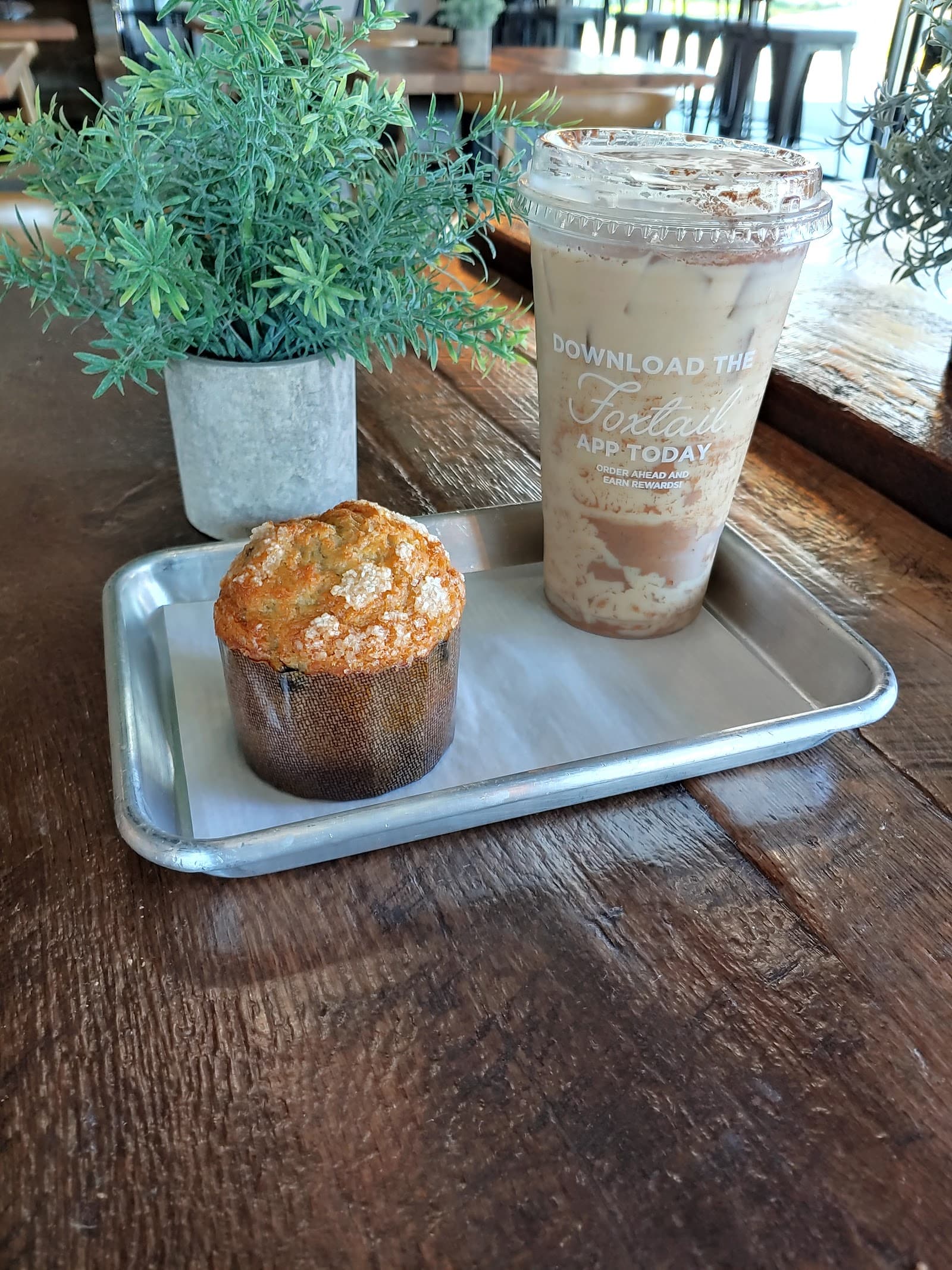 Foxtail Coffee - SoDo North specialty coffee shop in Orlando - photo 15