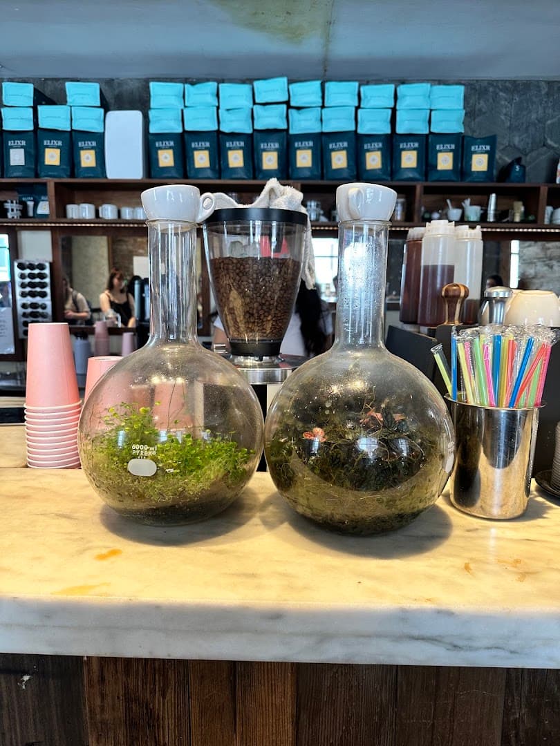 Elixr Coffee Roasters - specialty coffee shop in Philadelphia