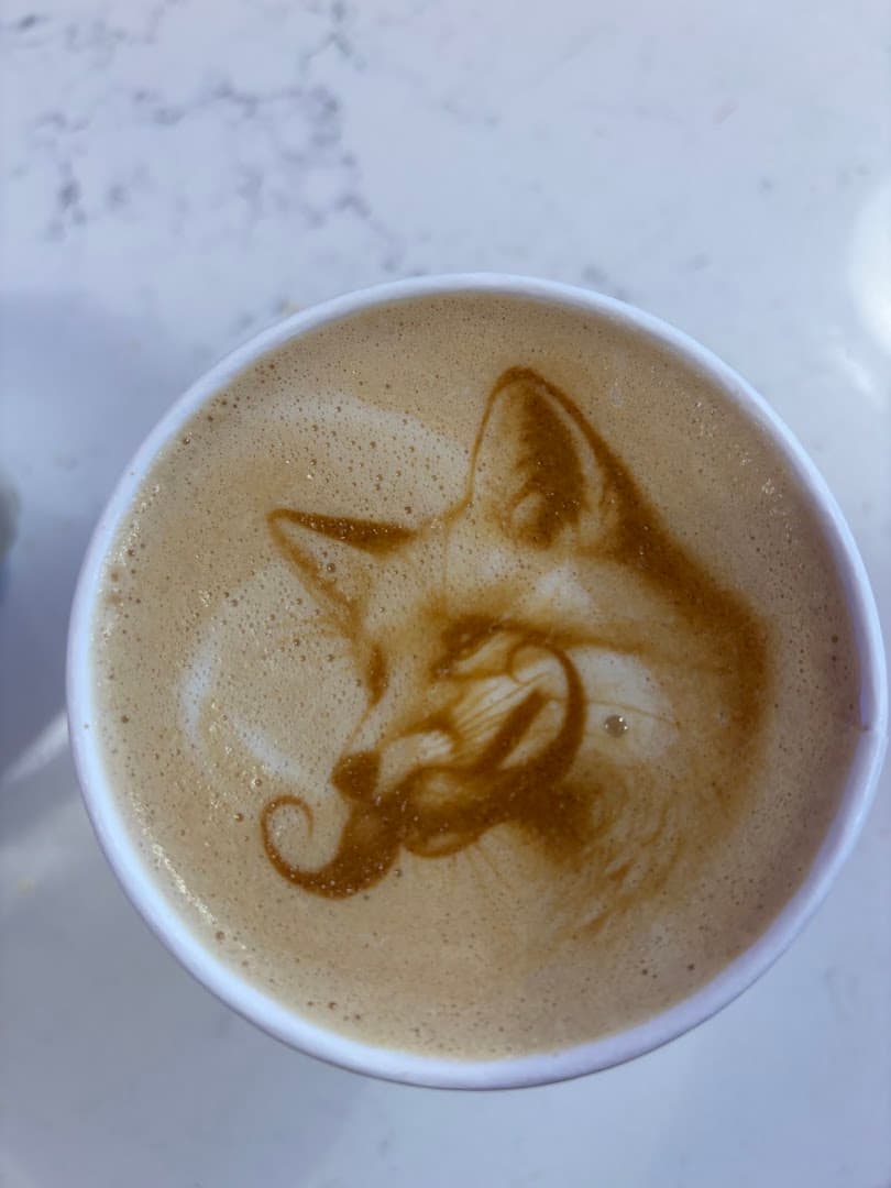 Gray Fox Coffee - specialty coffee shop in Downtown Minneapolis