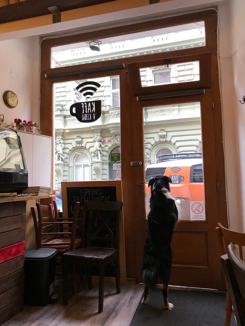 Kafe v Klidu - specialty coffee shop in Prague