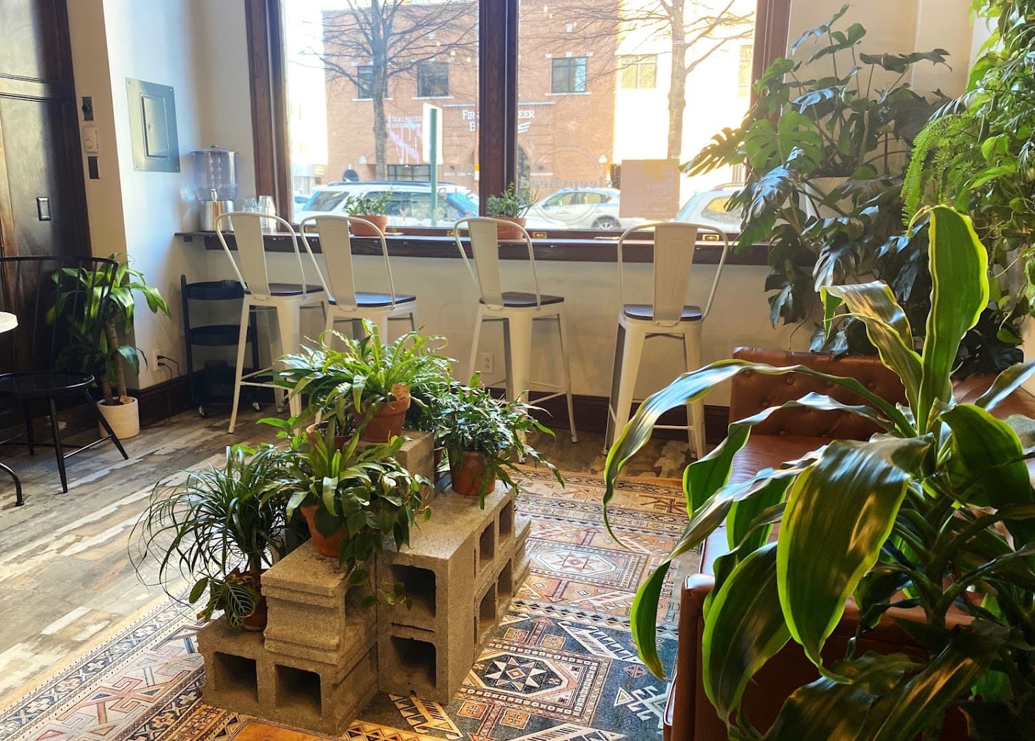 Sleepyhead Coffee - specialty coffee shop in Chattanooga