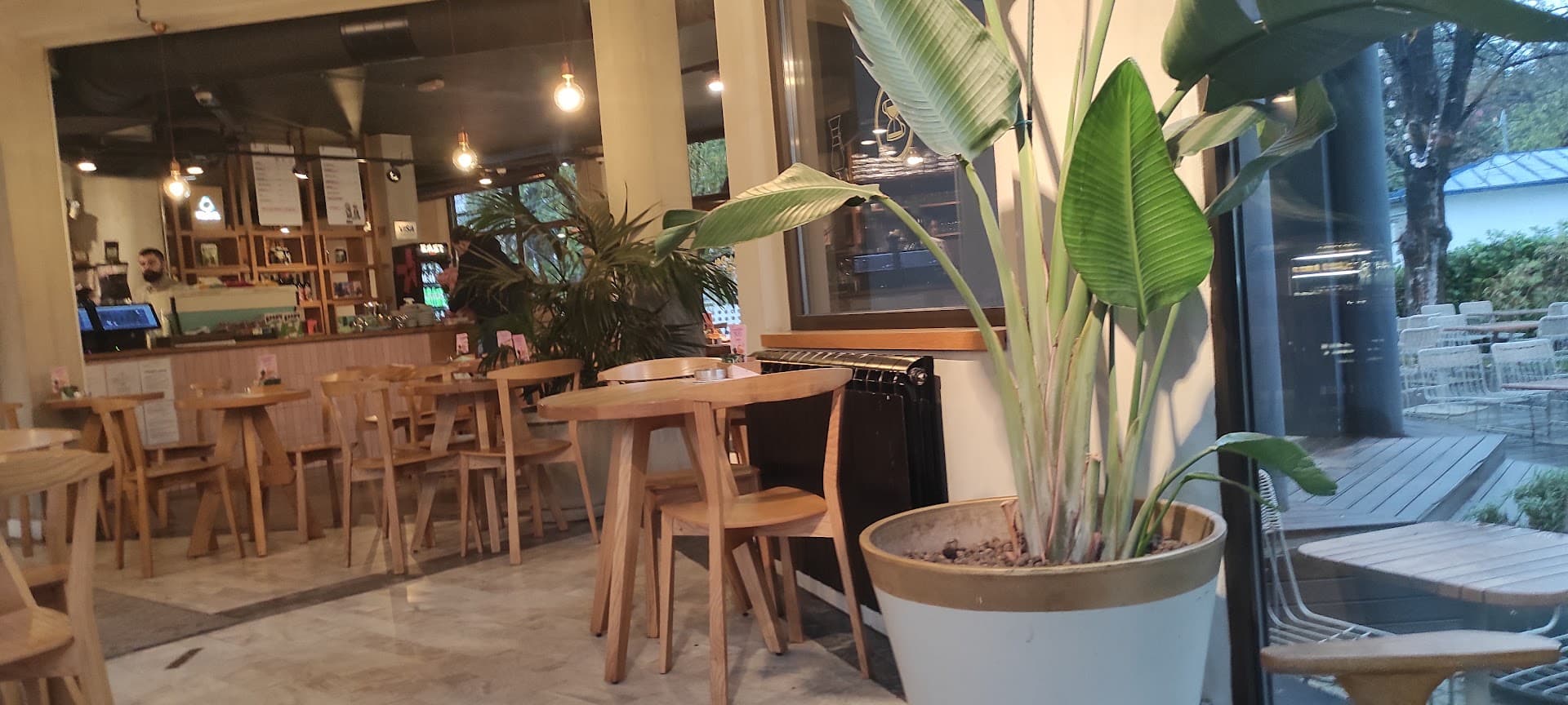 Interior of Kafeterija Dedinje, specialty coffee shop in Belgrade