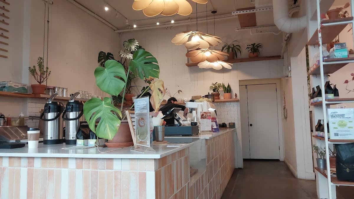 Futura Coffee Roasters - Arbor Lodge specialty coffee shop in Portland - photo 3