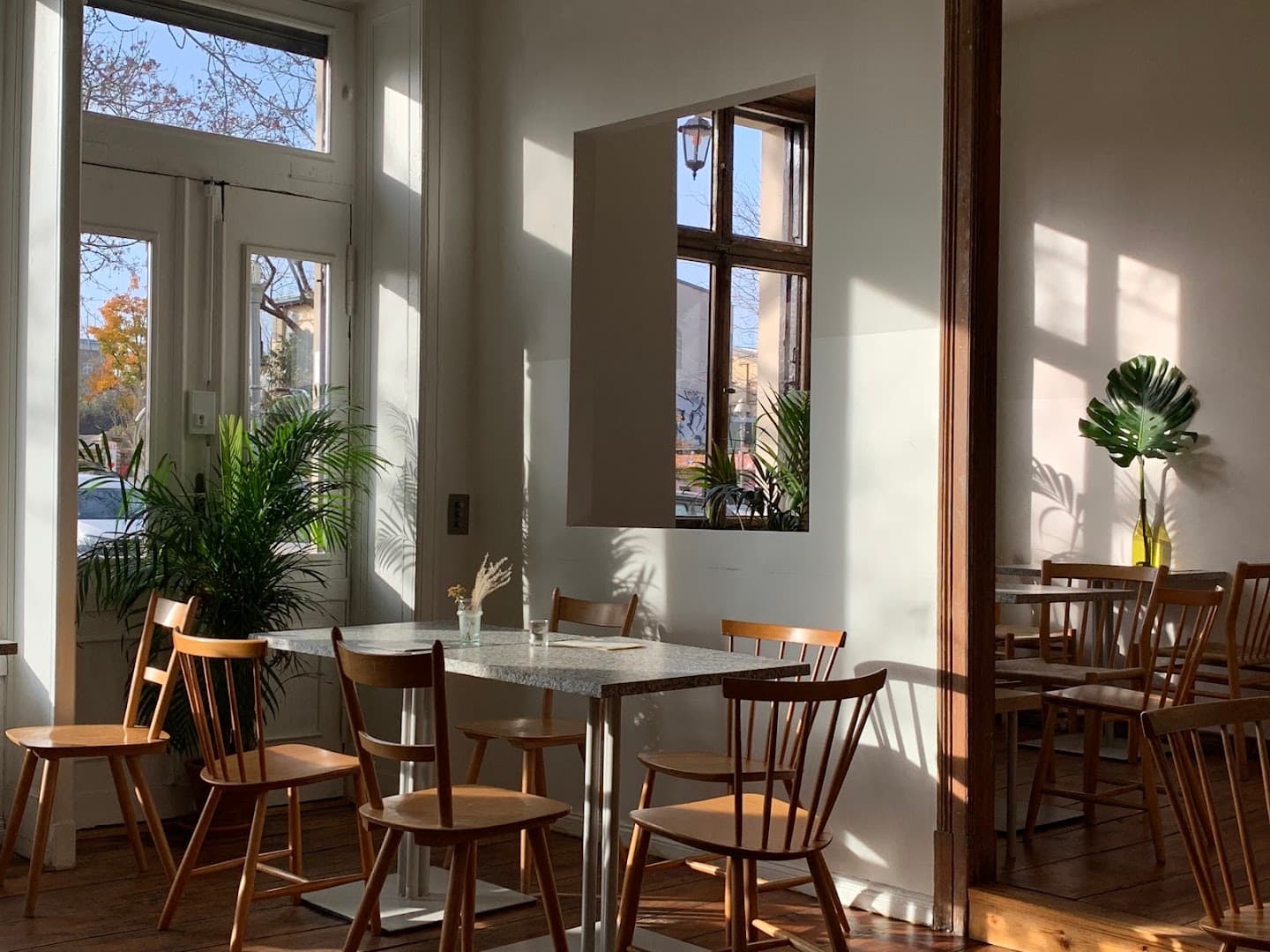 annelies — specialty coffee in Berlin