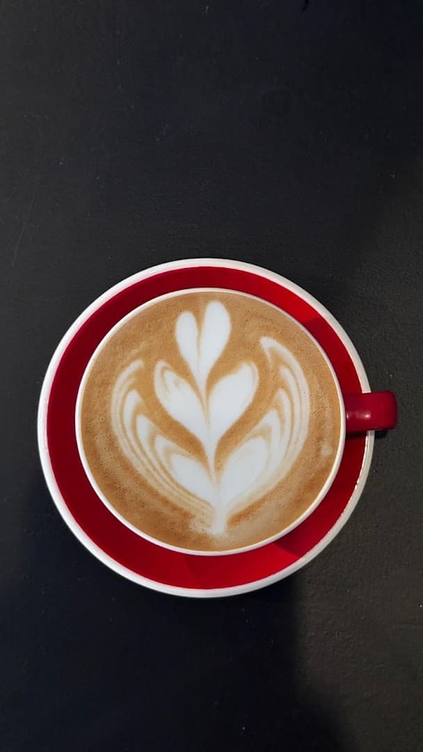 Vanta Coffee - specialty coffee shop in Barcelona