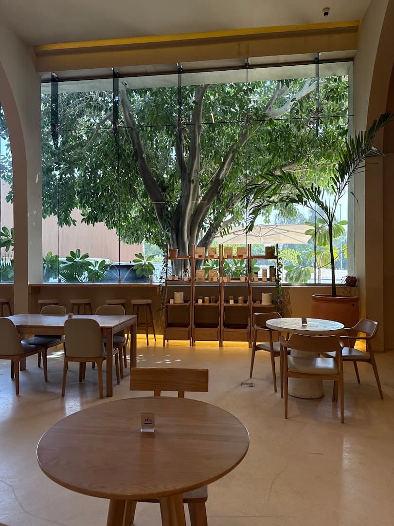 EARTH ROASTERY — specialty coffee in Dubai