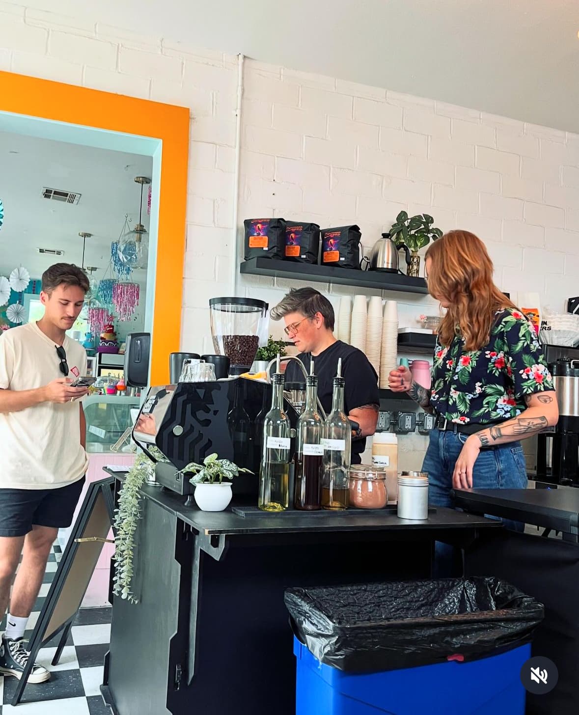 Sightseer Coffee Bar specialty coffee shop in Austin - photo 3