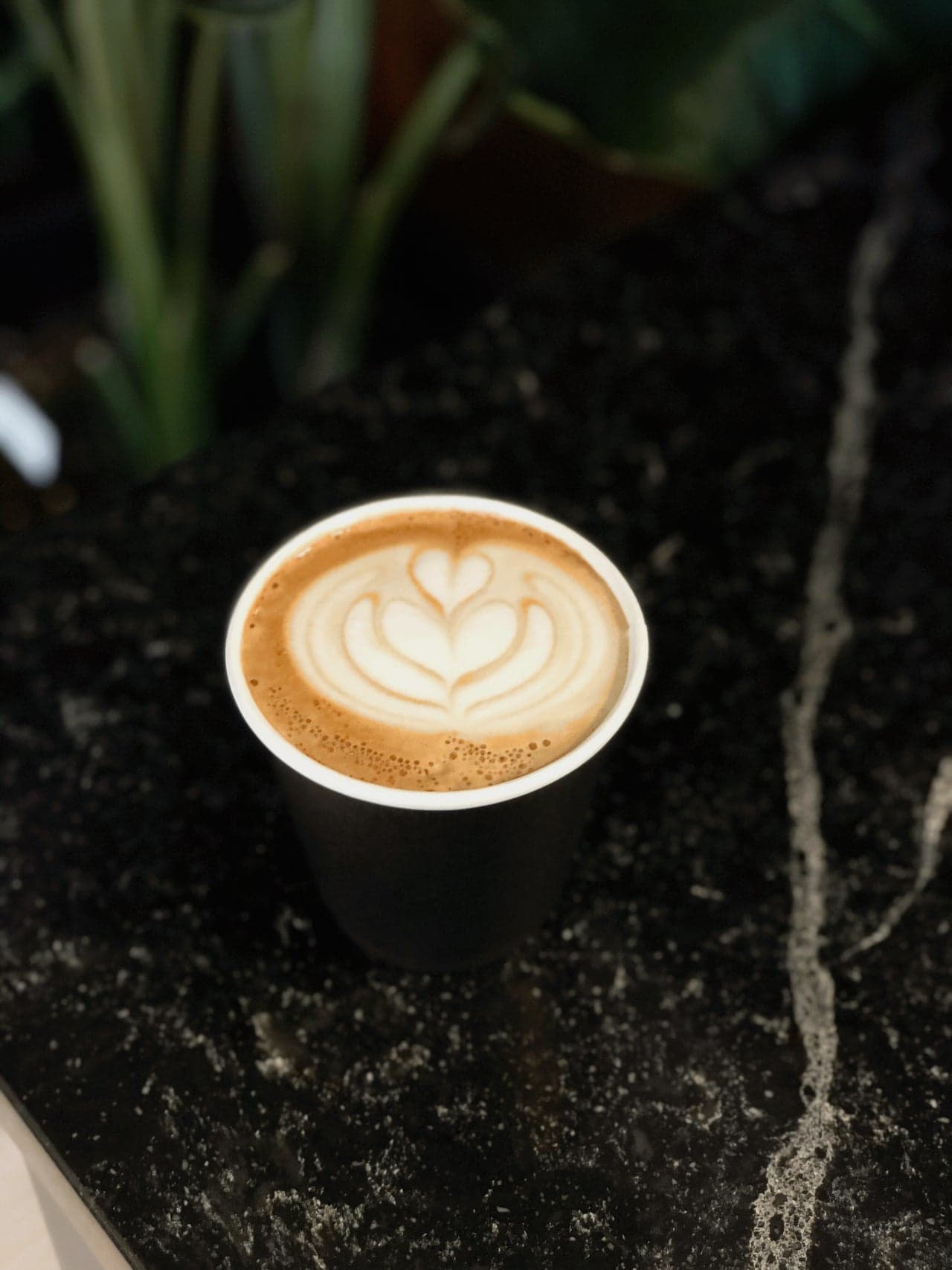 Elegy Coffee East specialty coffee shop in Nashville - photo 8