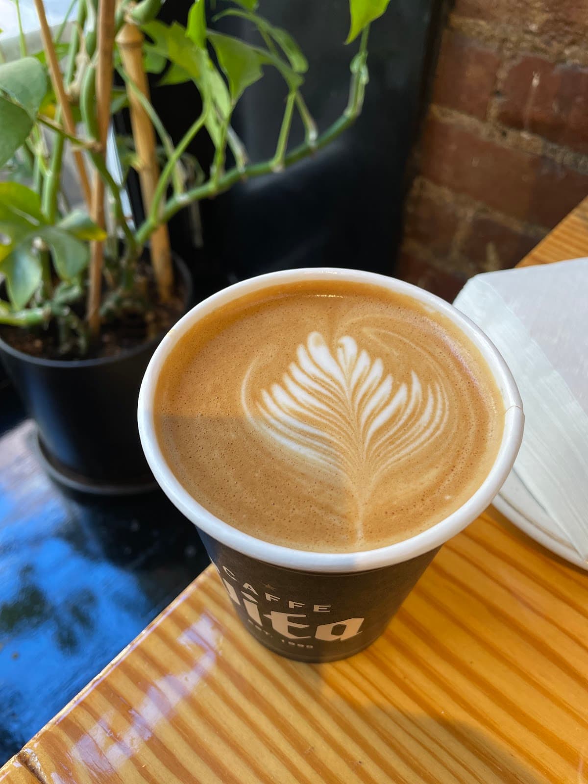 Caffe Vita specialty coffee shop in New York - photo 3