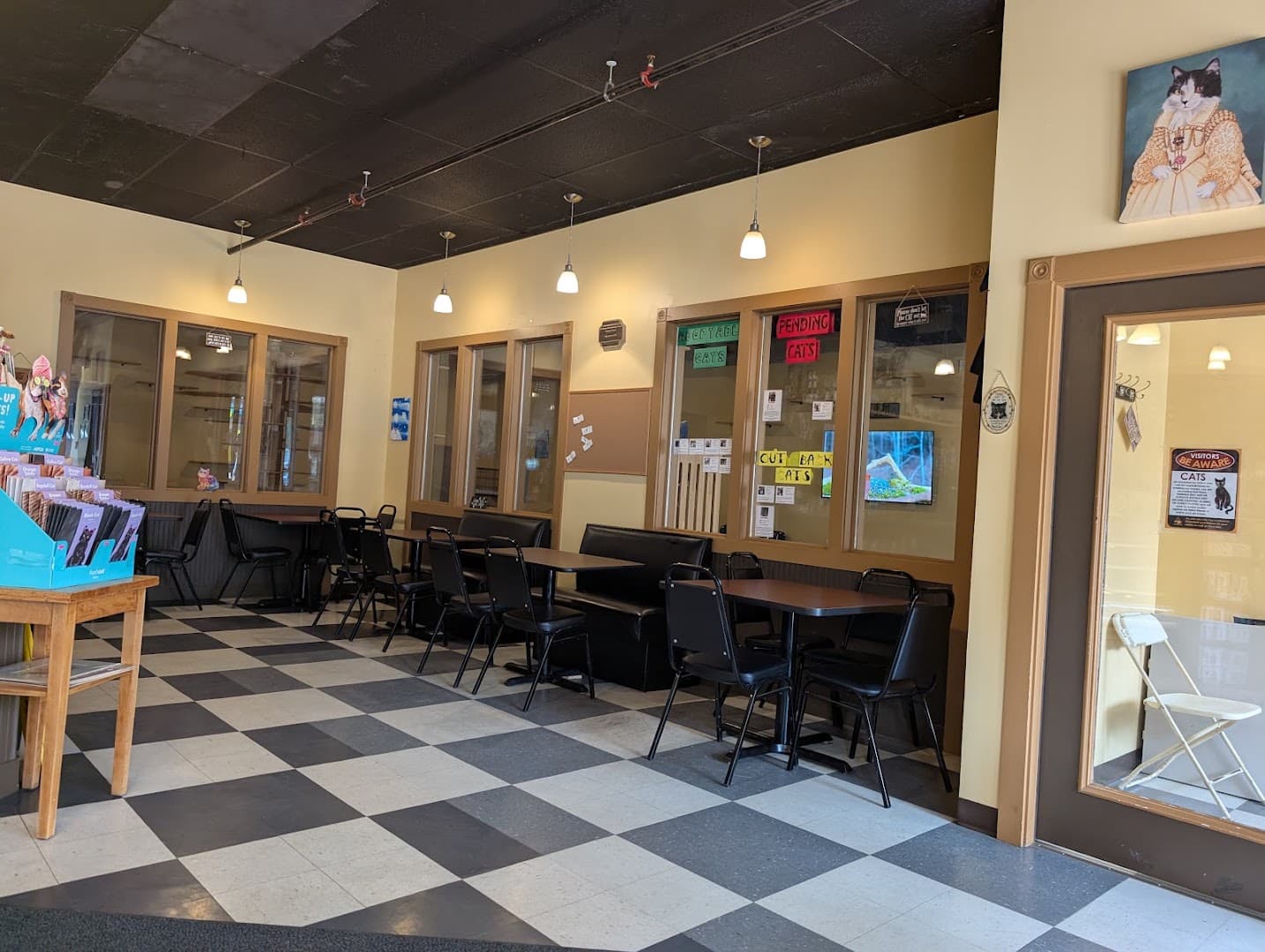 Kitty Korner Cafe specialty coffee shop in Montpelier-Barre - photo 3