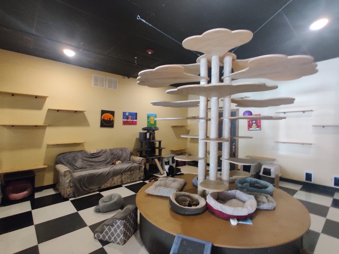 Kitty Korner Cafe specialty coffee shop in Montpelier-Barre - photo 8