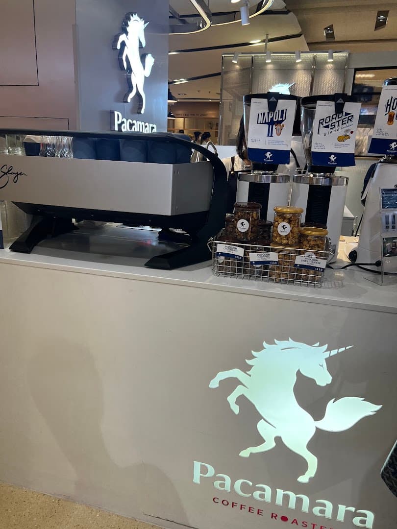 Pacamara Coffee Roasters Central Ladprao - specialty coffee shop in Bangkok
