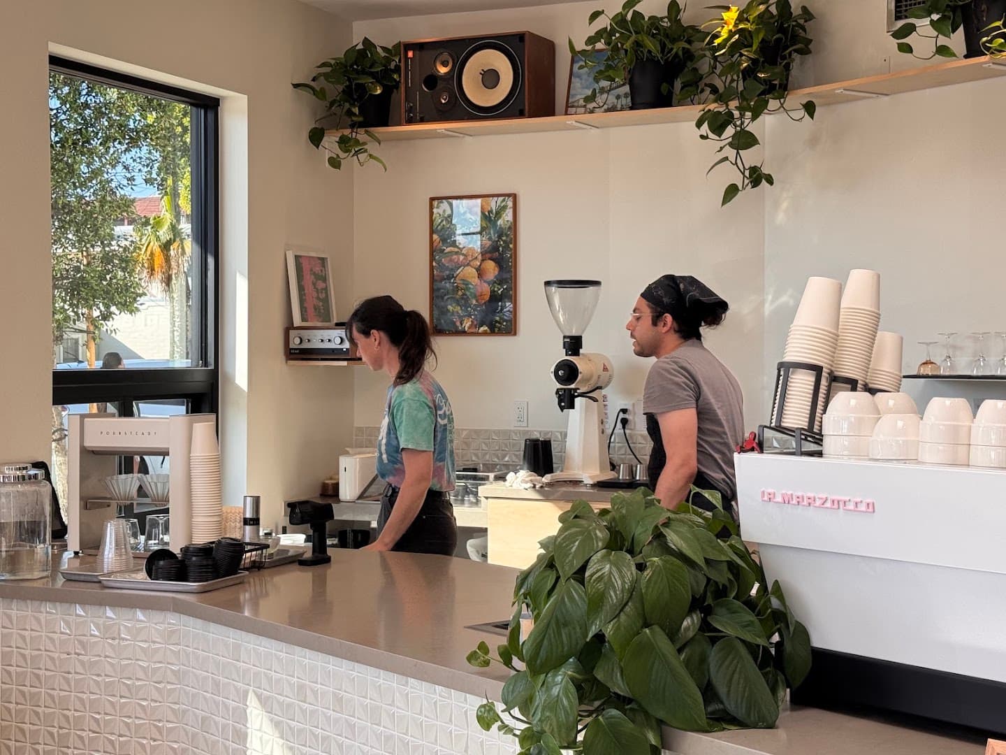 Necessity Coffee - specialty coffee shop in San Diego