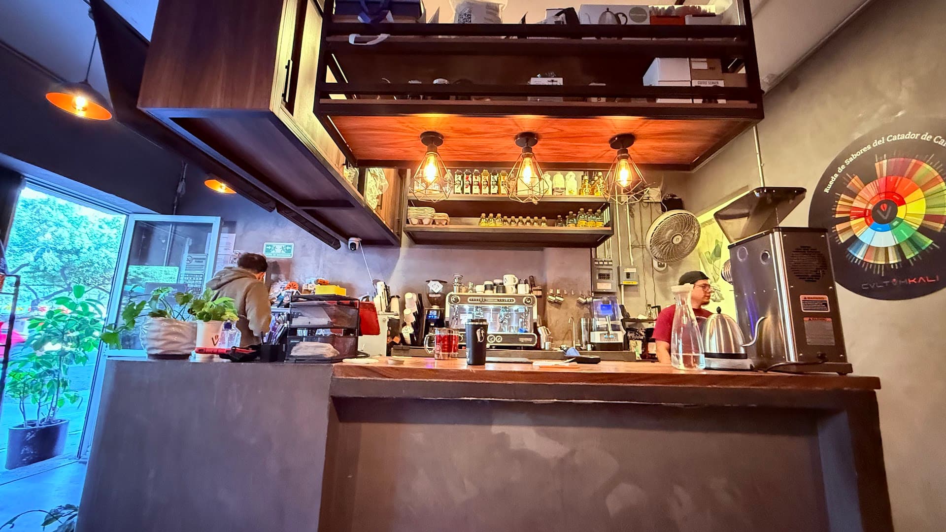 Interior of Cultumkali café, specialty coffee shop in Mexico City