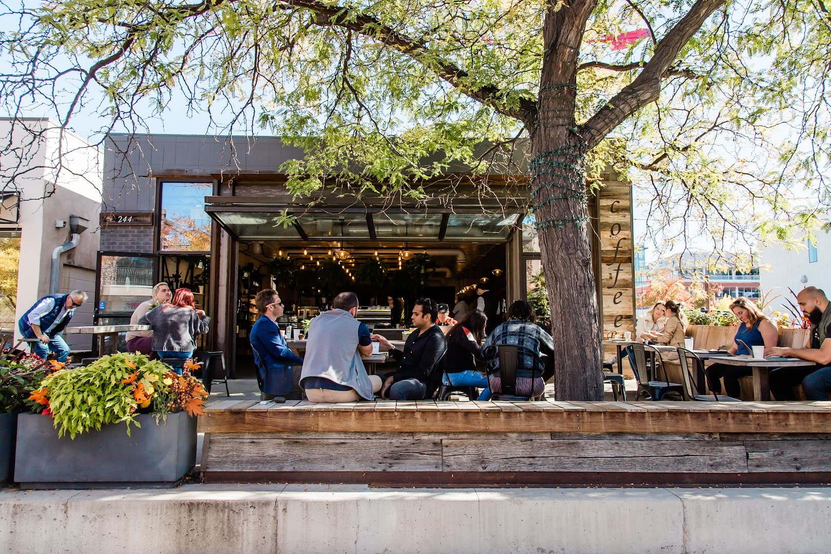 Aviano Coffee Cherry Creek North - specialty coffee shop in Cherry Creek