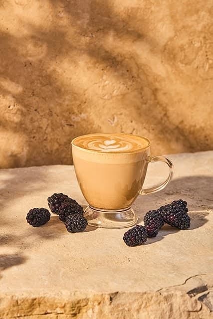 Heine Brothers Coffee - Main Street - specialty coffee shop in Louisville
