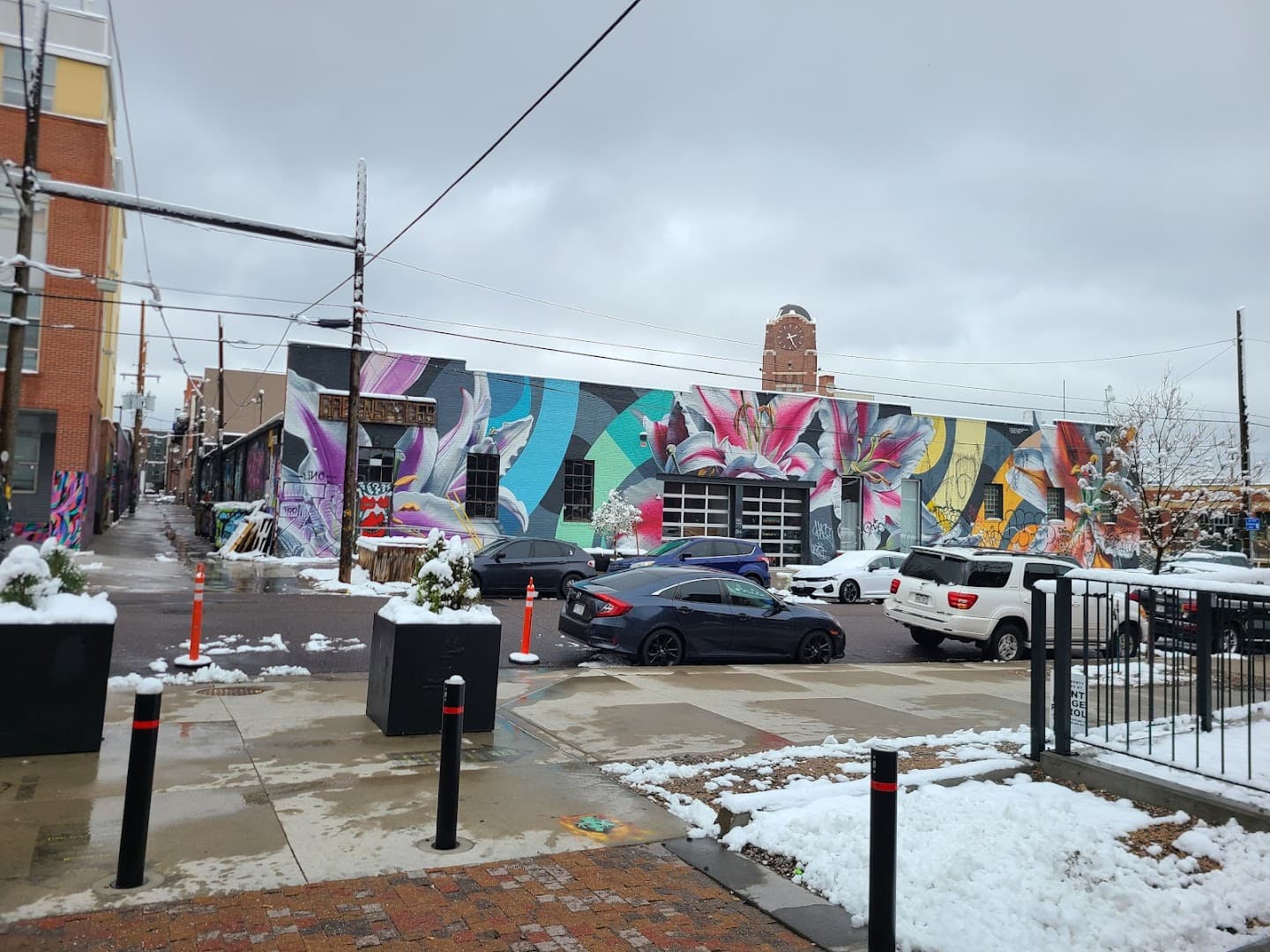 Crema Bodega specialty coffee shop in Denver - photo 3
