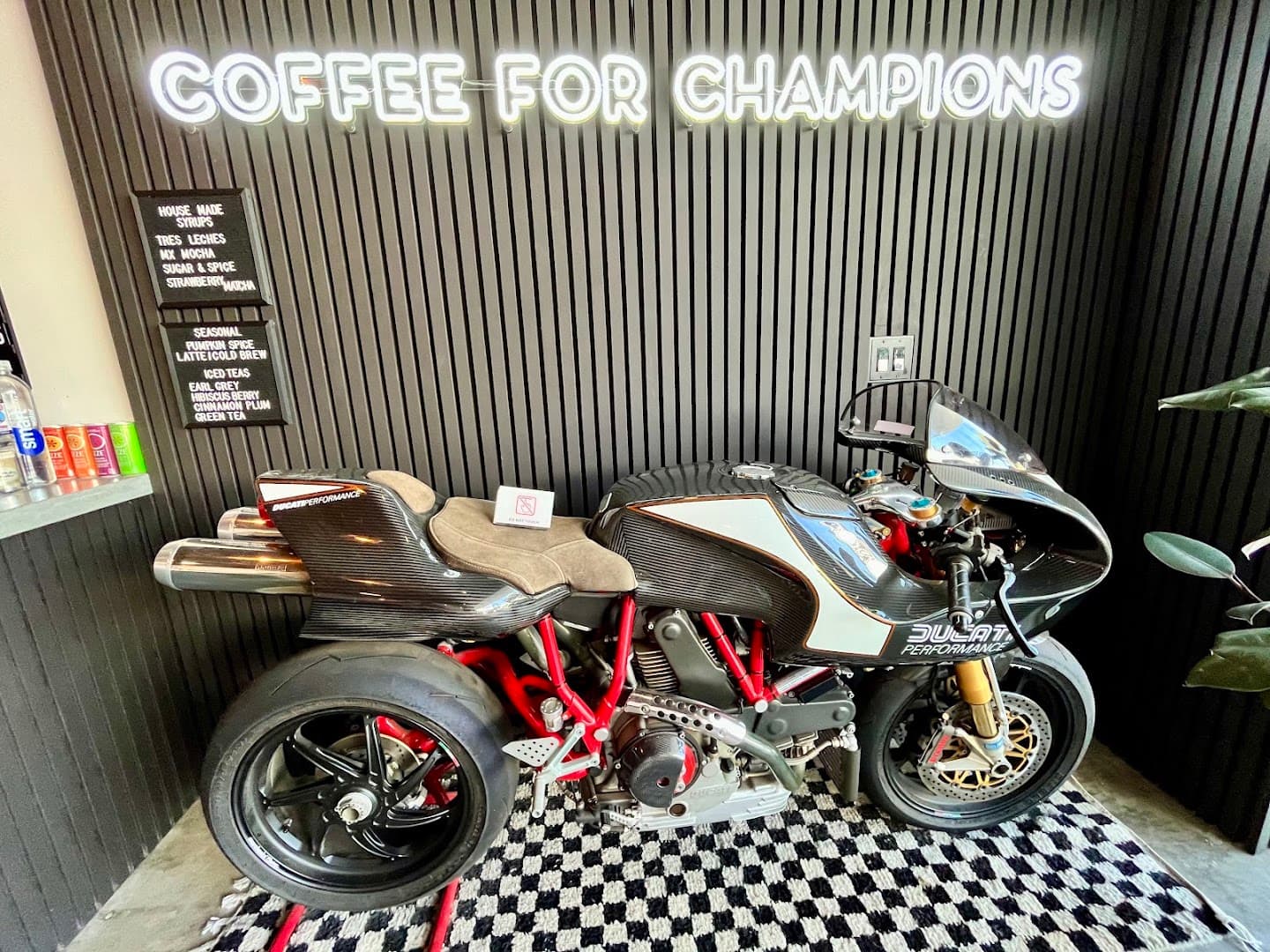 Midnight Animal Coffee - specialty coffee shop in San Diego