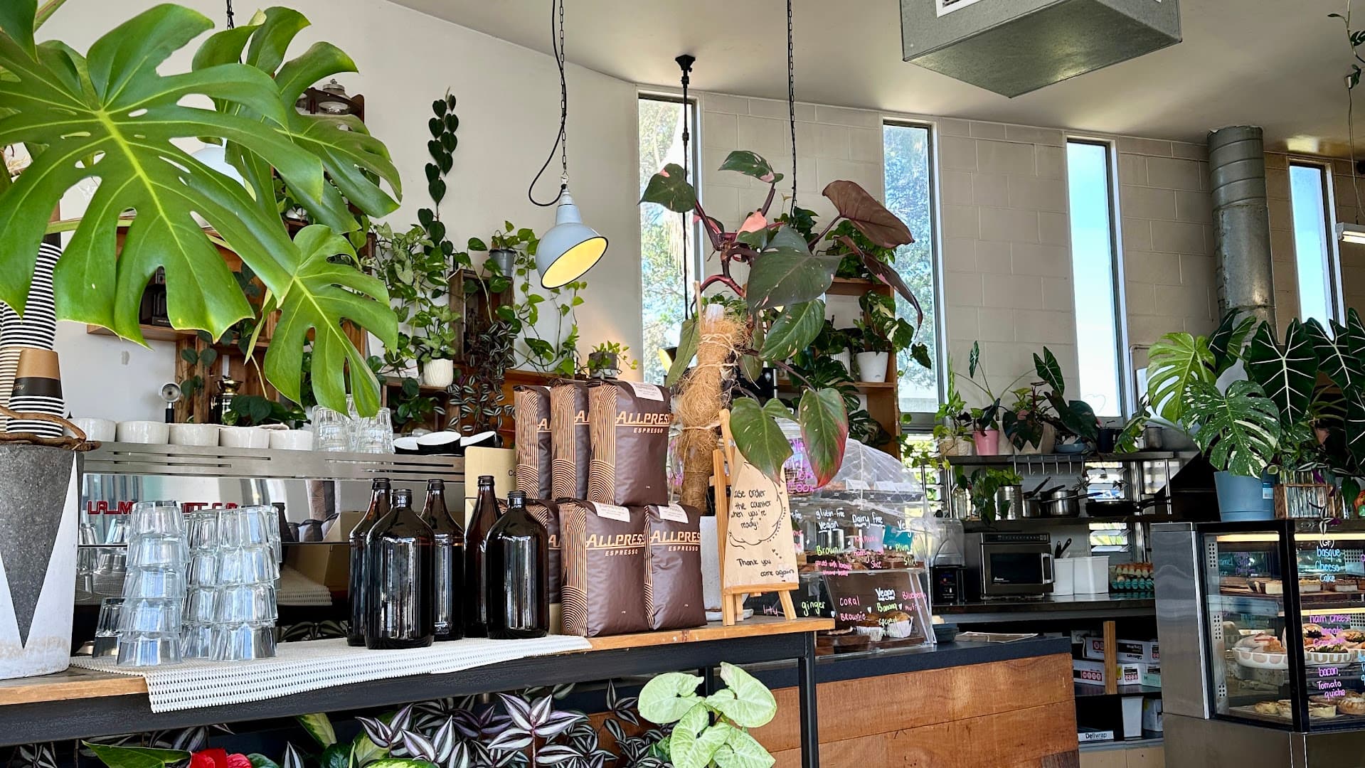 Black & Gold Coffee Eatery - specialty coffee shop in Auckland