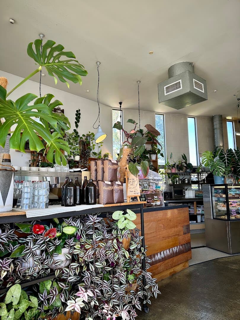 Interior of Black & Gold Coffee Eatery, specialty coffee shop in Auckland