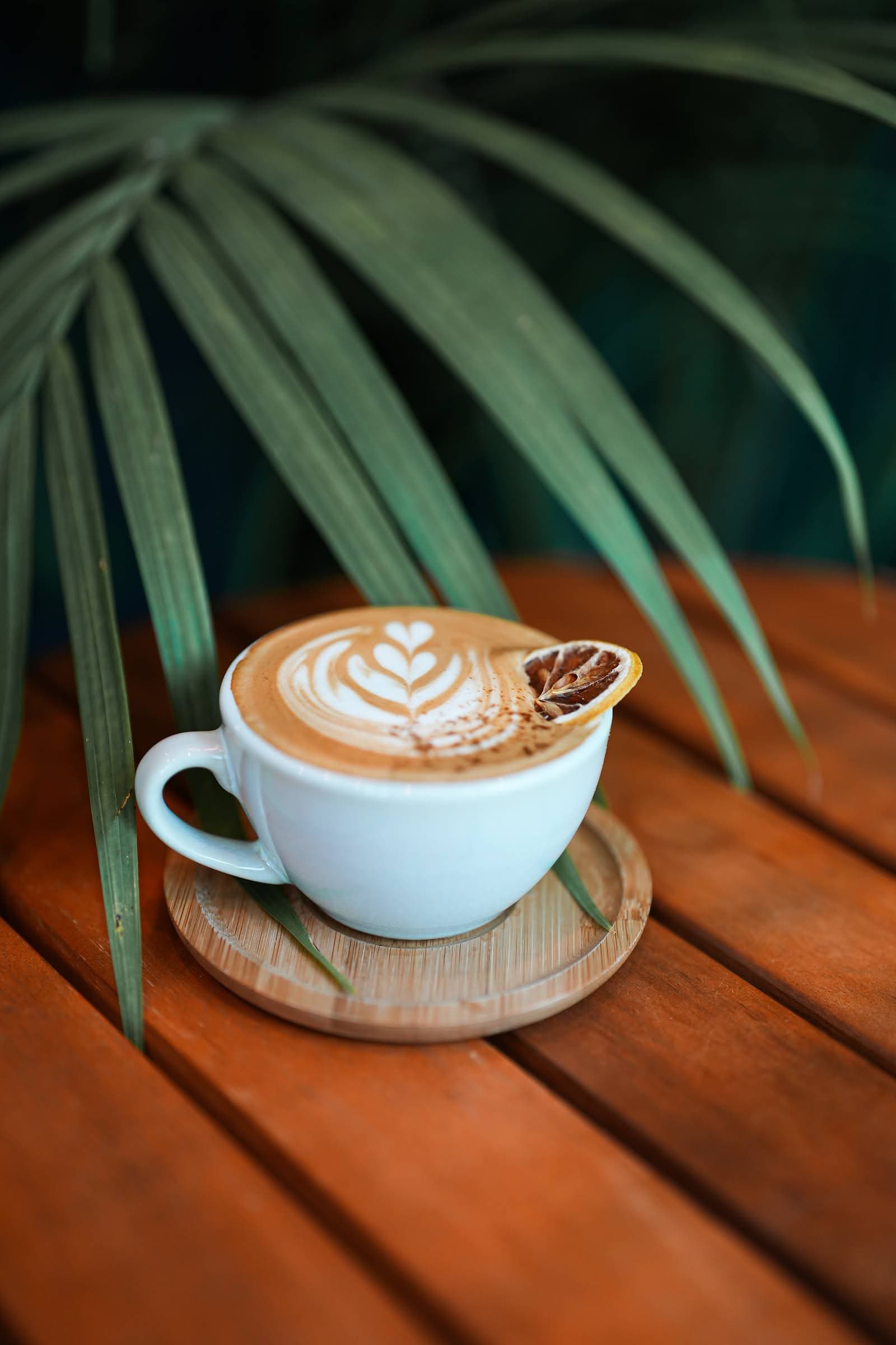 Qreate Coffee + Studio specialty coffee shop in Orlando - photo 10