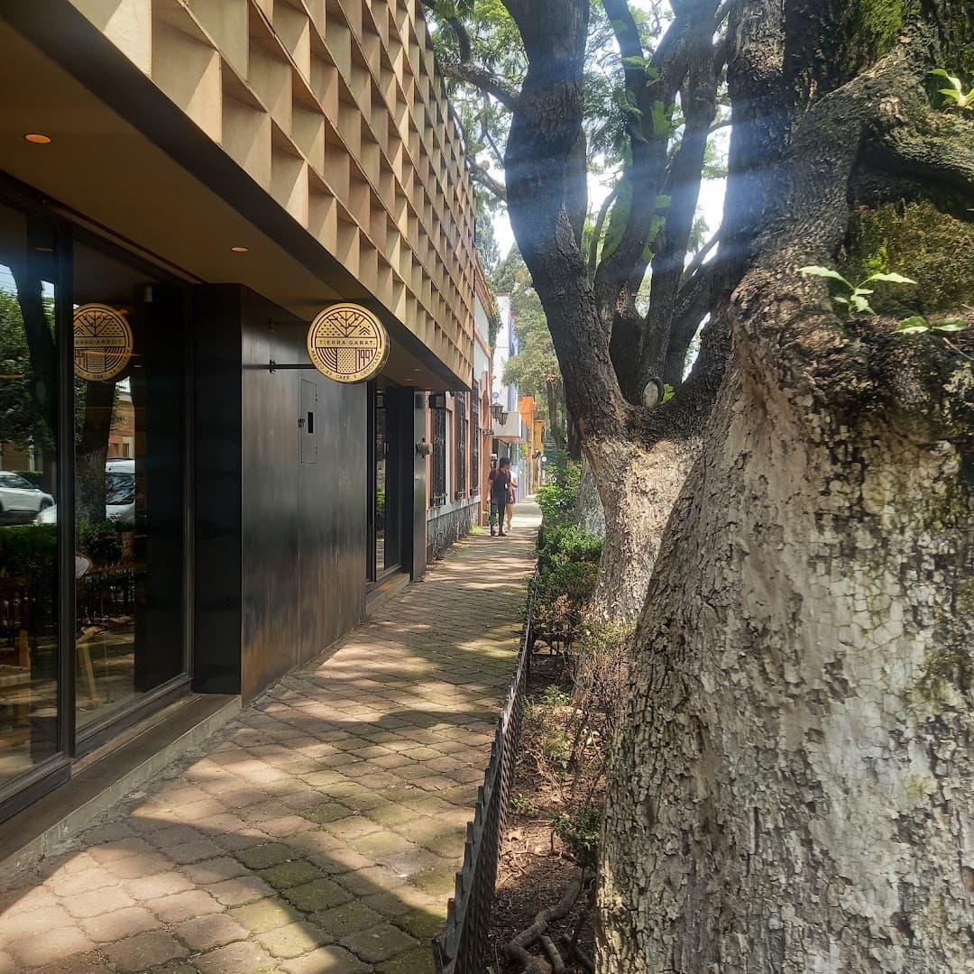 Tierra Garat Londres - specialty coffee shop in Mexico City