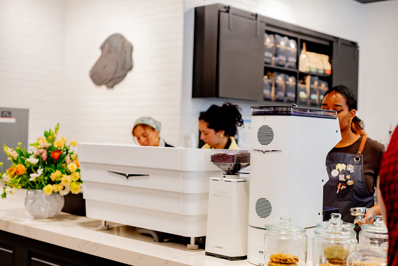 Interior of Buddy Brew Coffee, specialty coffee shop in Tampa-St. Petersburg