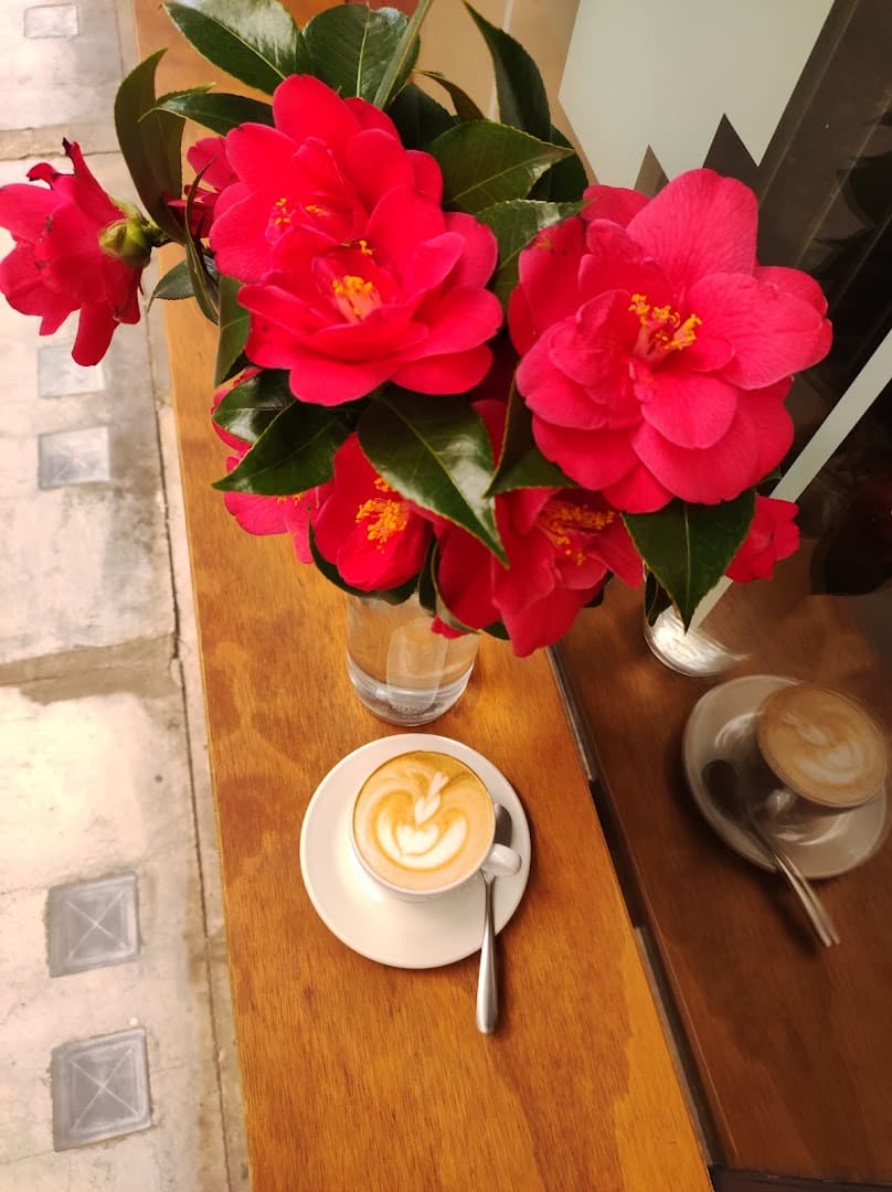 Coffee at Fax Factory, specialty coffee shop in Rome