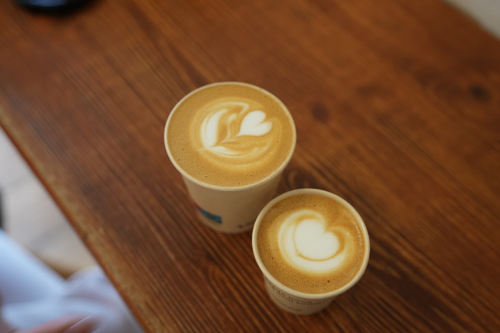 Project FOX - specialty coffee shop in Prague