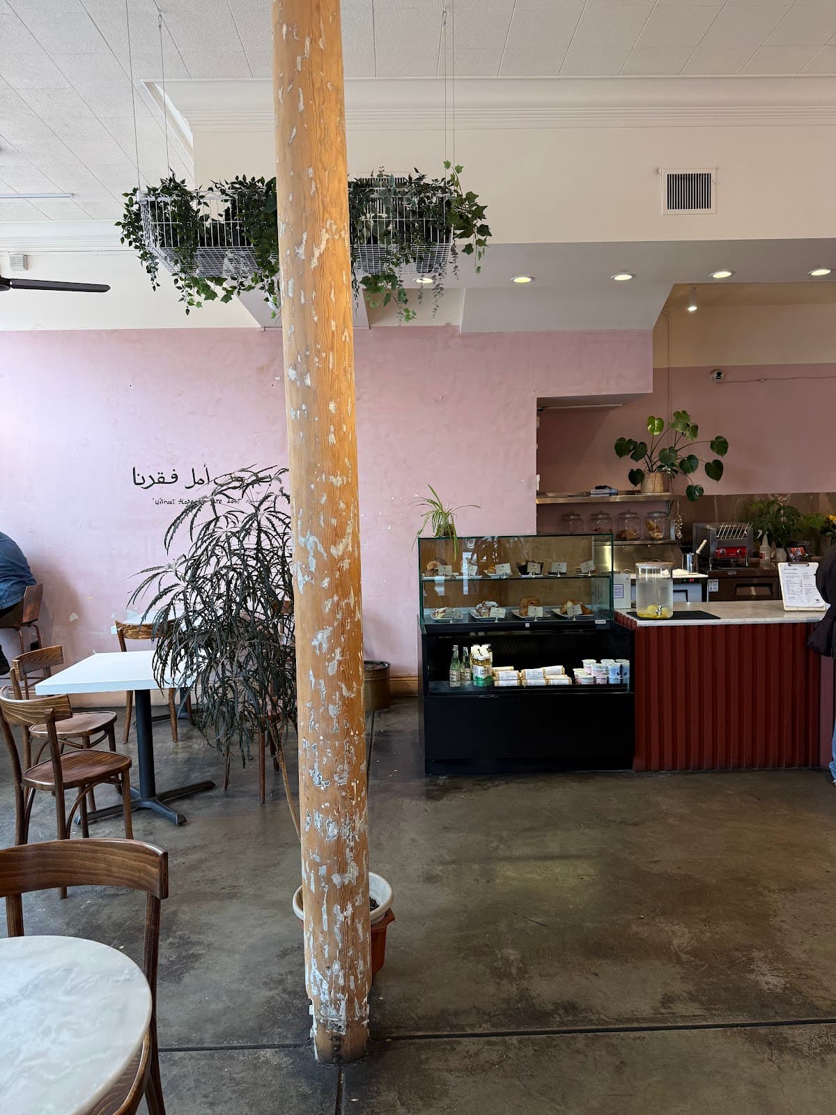 temos coffee specialty coffee shop in San Francisco - photo 3