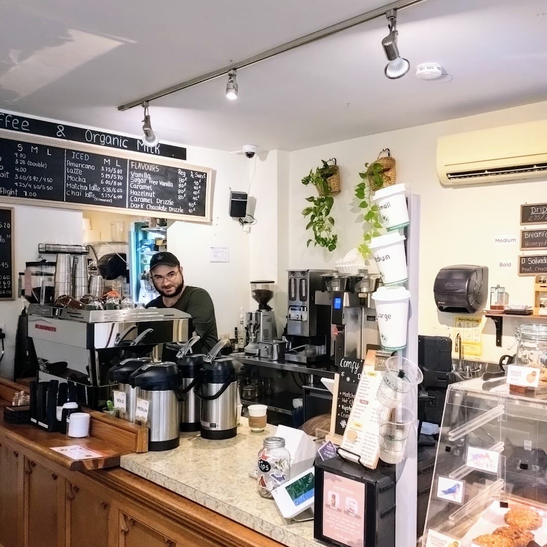 Interior of Birds & Beans Café, specialty coffee shop in Toronto