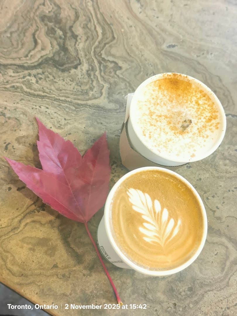 Coffee at Birds & Beans Café, specialty coffee shop in Toronto