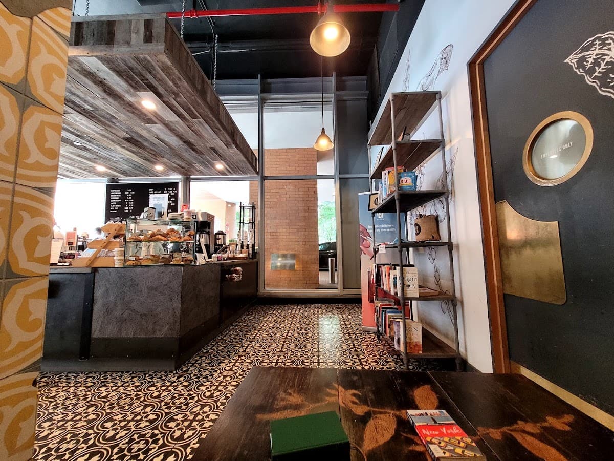Birch Coffee - specialty coffee shop in Financial District