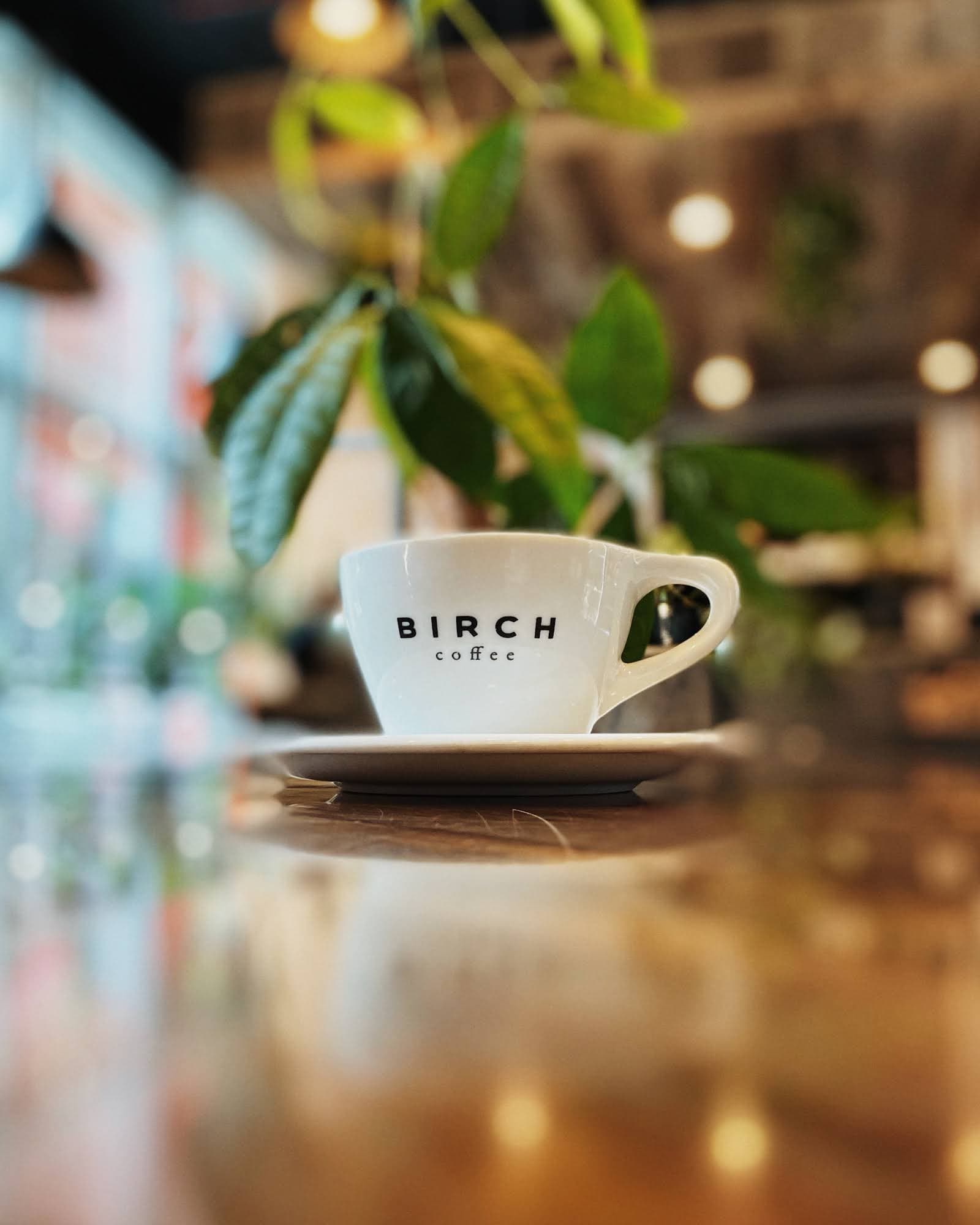 Birch Coffee specialty coffee shop in New York - photo 8