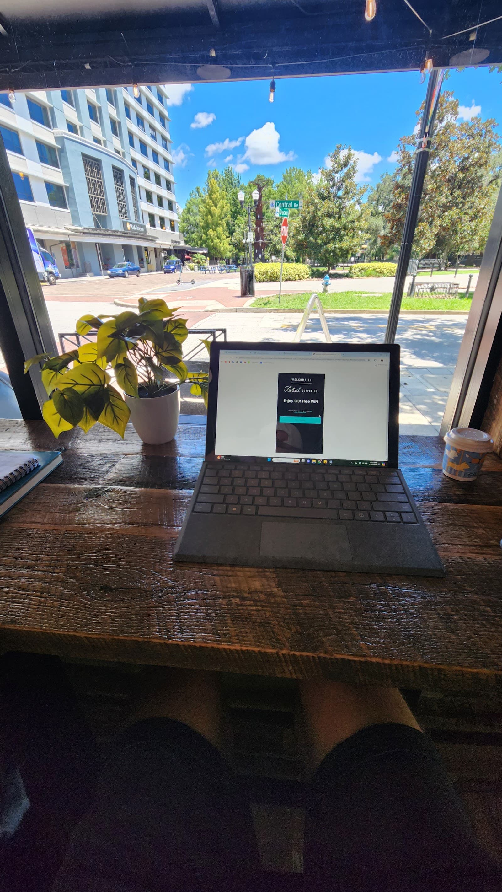Foxtail Coffee - Lake Eola specialty coffee shop in Orlando - photo 11