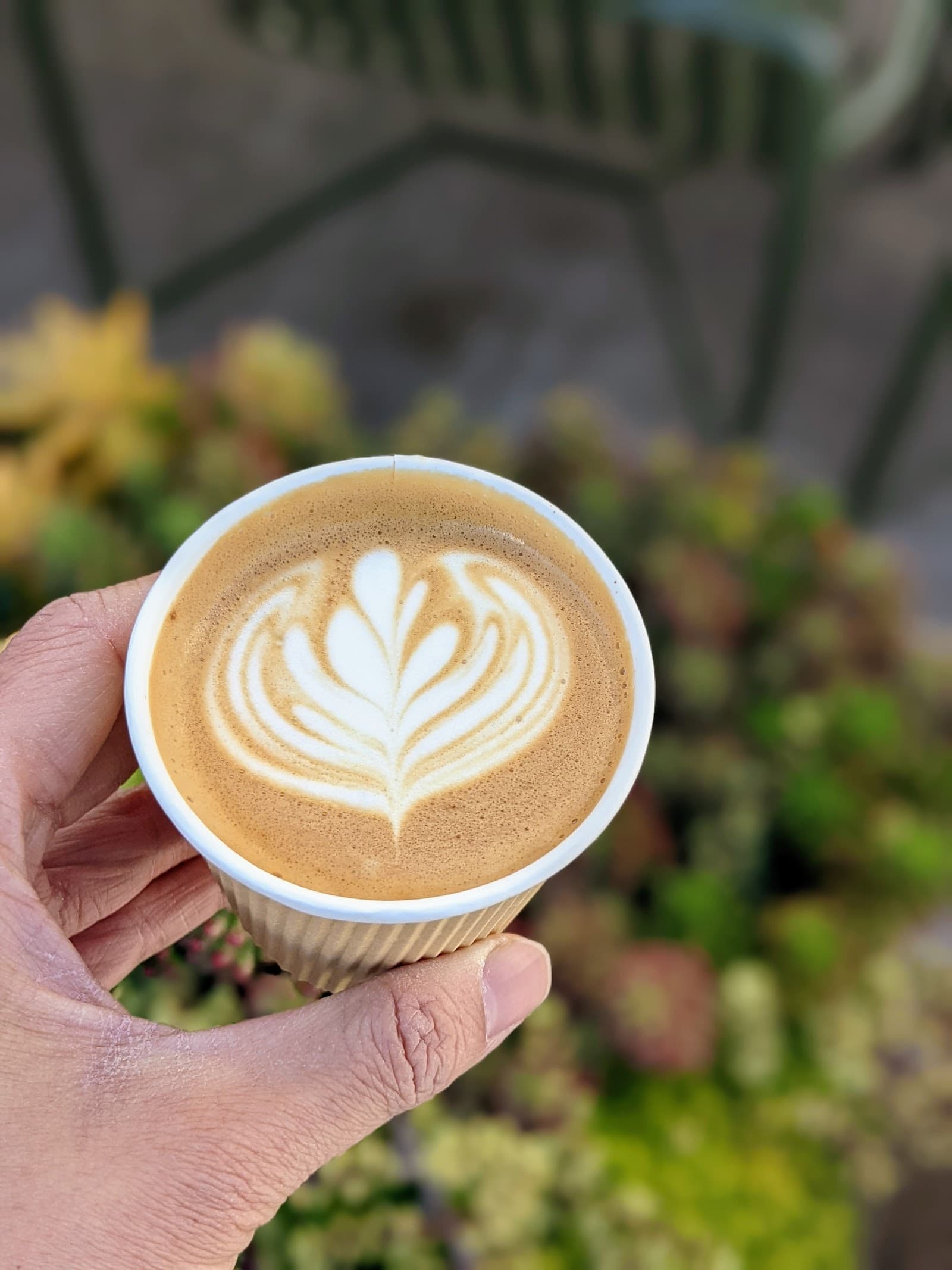 Kumquat Coffee HLP - specialty coffee shop in Los Angeles