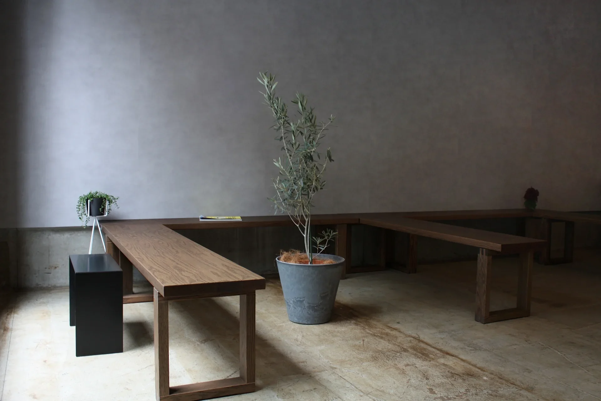 Apollon's Gold Akasaka Cafe - specialty coffee shop in Tokyo