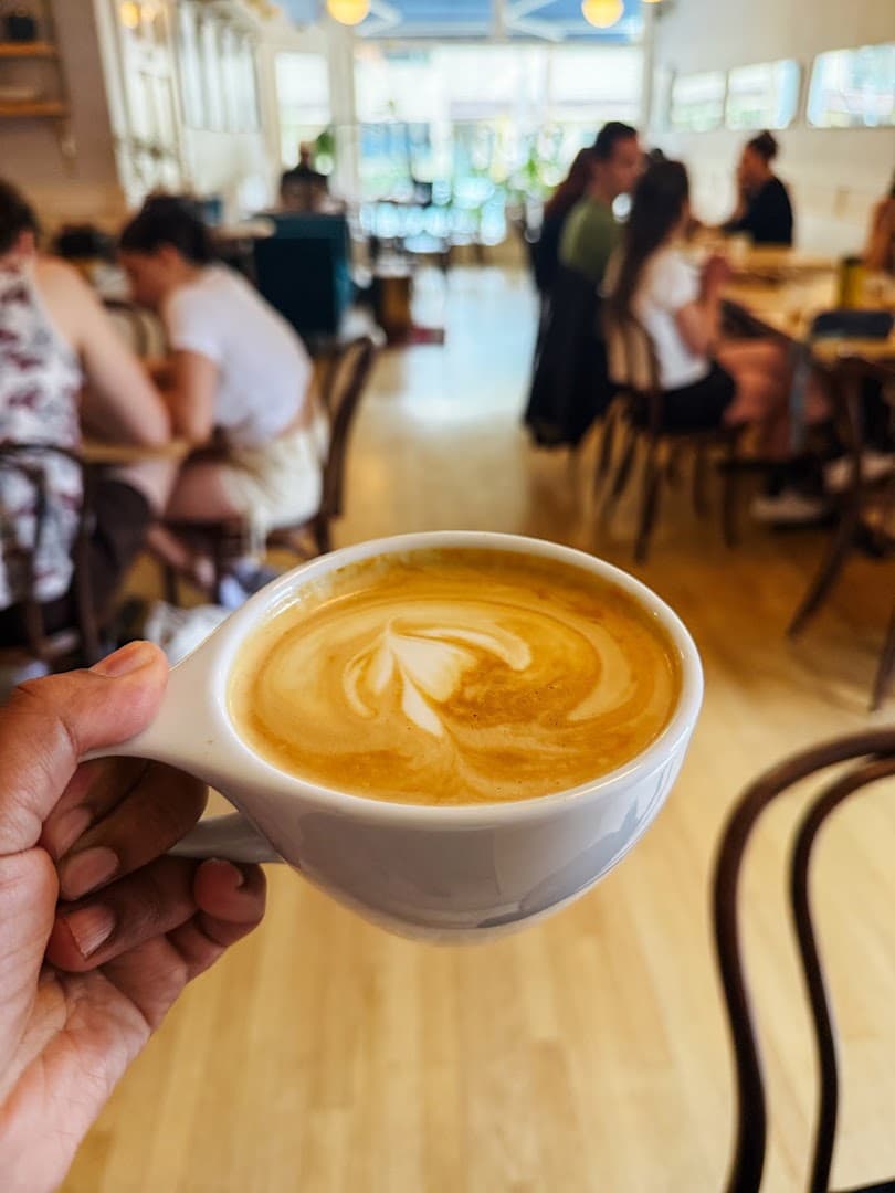 Coffee at Cafe Domestique - Allen St., specialty coffee shop in Madison