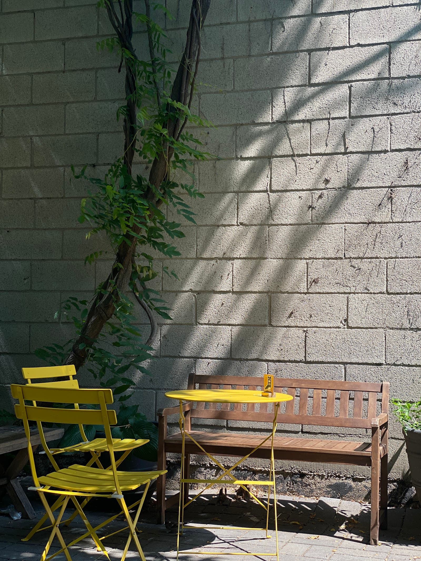 Partners Coffee specialty coffee shop in New York - photo 6