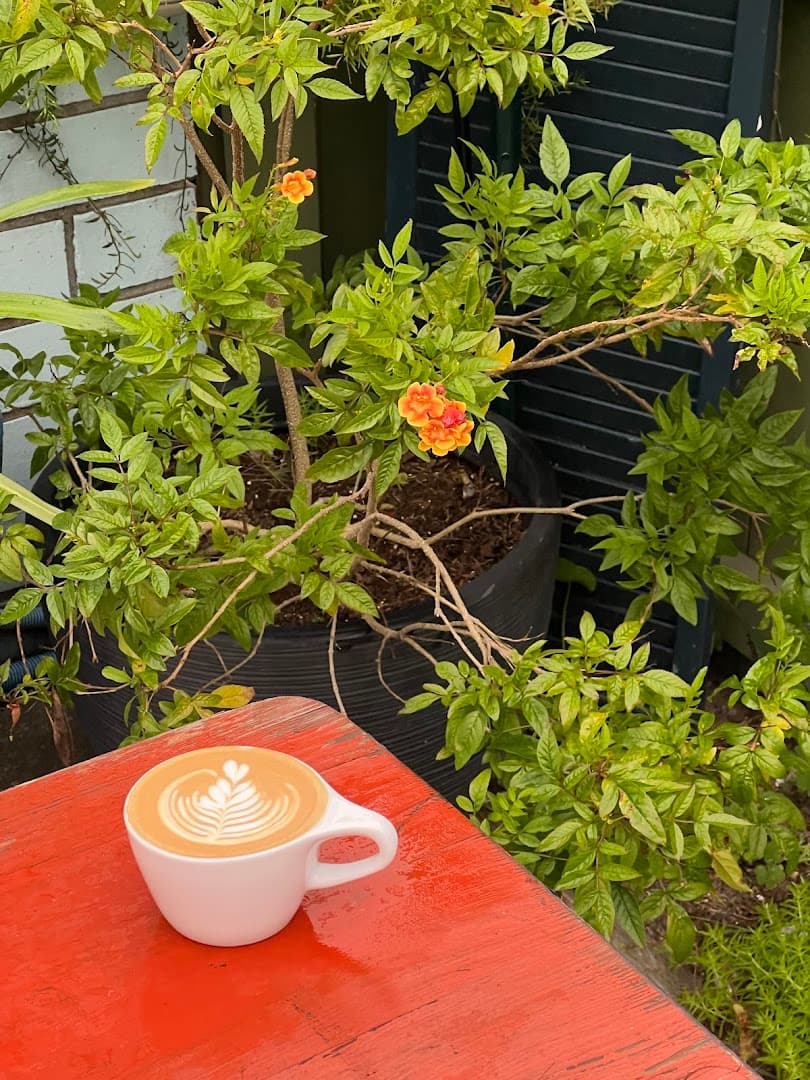 Highfalutin Coffee Roasters - specialty coffee shop in Charleston