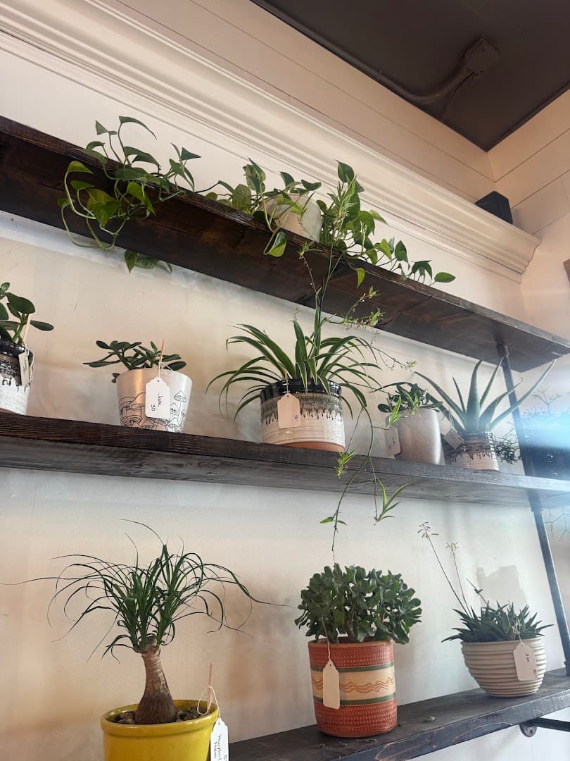 Heartwood Coffee Roasters - specialty coffee shop in Cleveland