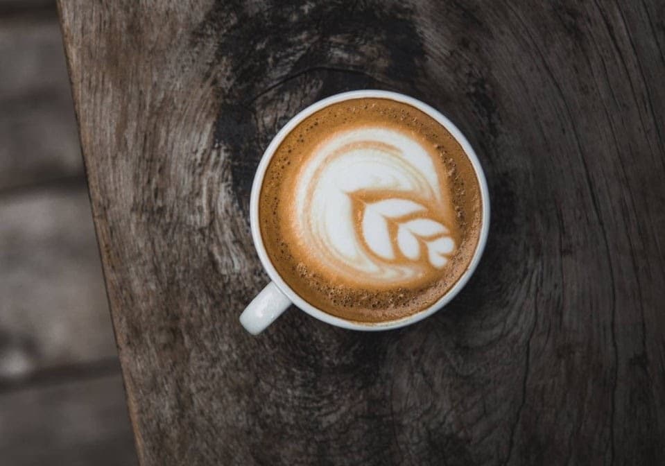 T.M. Ward Coffee - specialty coffee shop in Newark