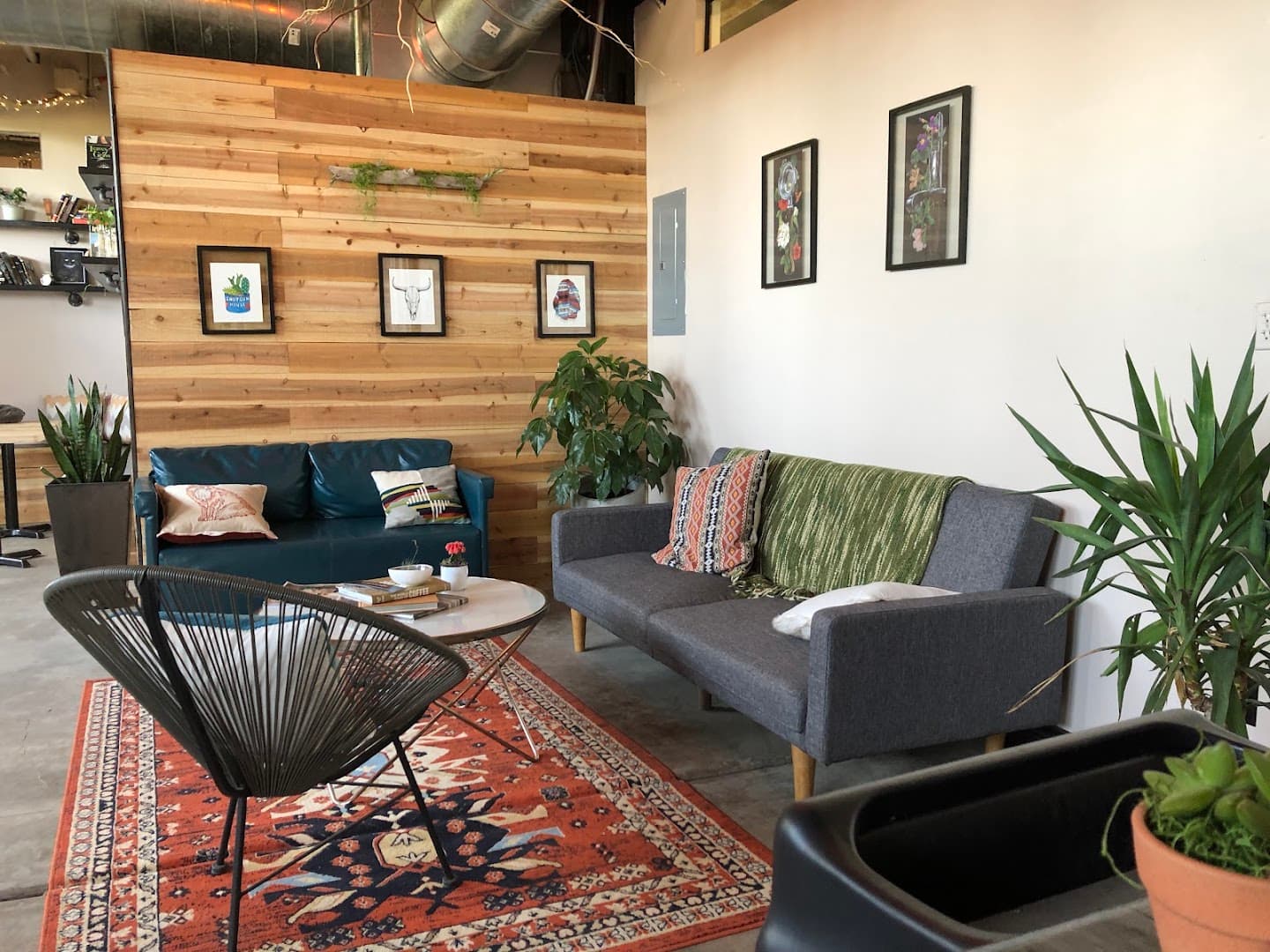 Shotgun House Coffee Roasters - specialty coffee shop in San Antonio