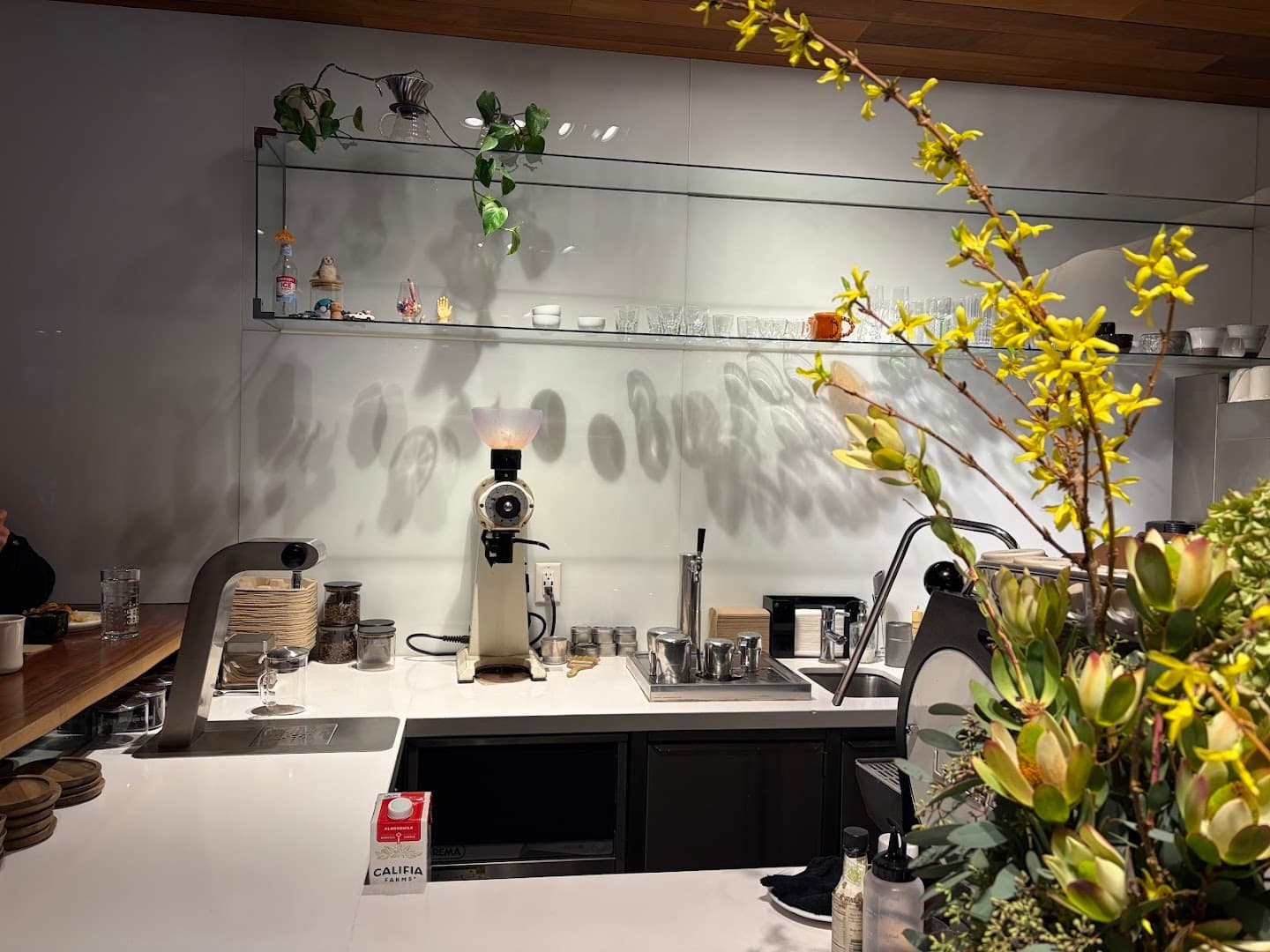 Little Owl Coffee specialty coffee shop in Denver - photo 12