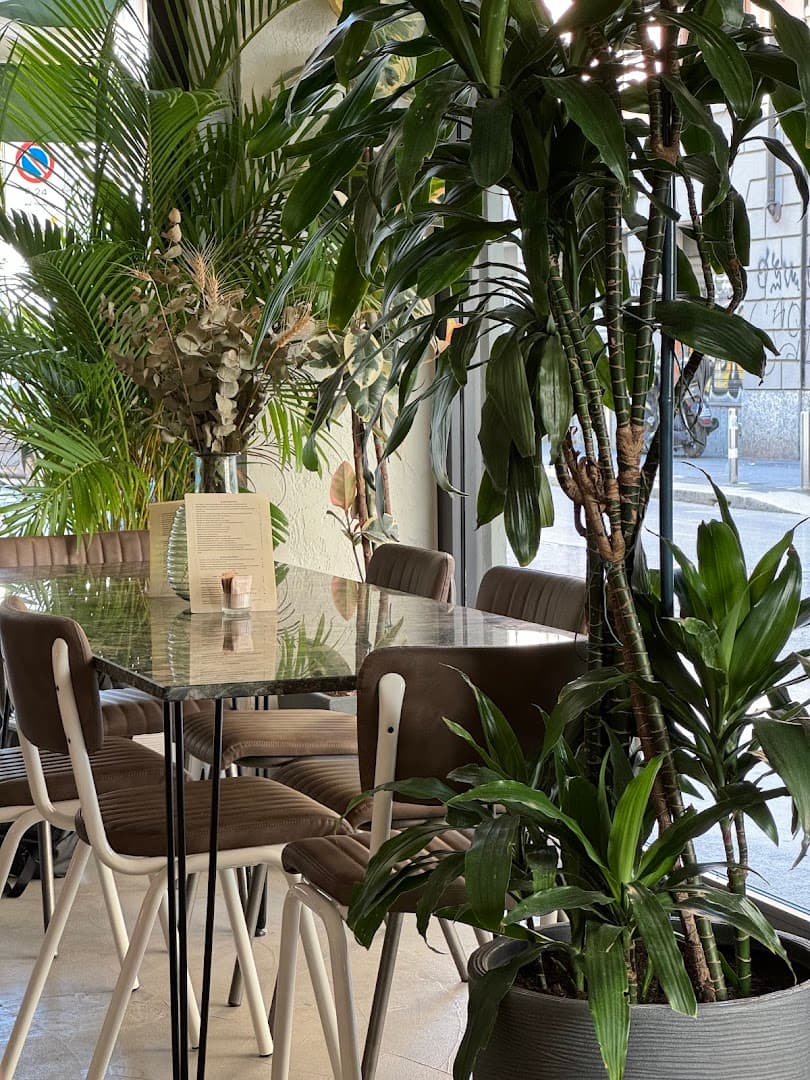 Interior of SISU., specialty coffee shop in Milan