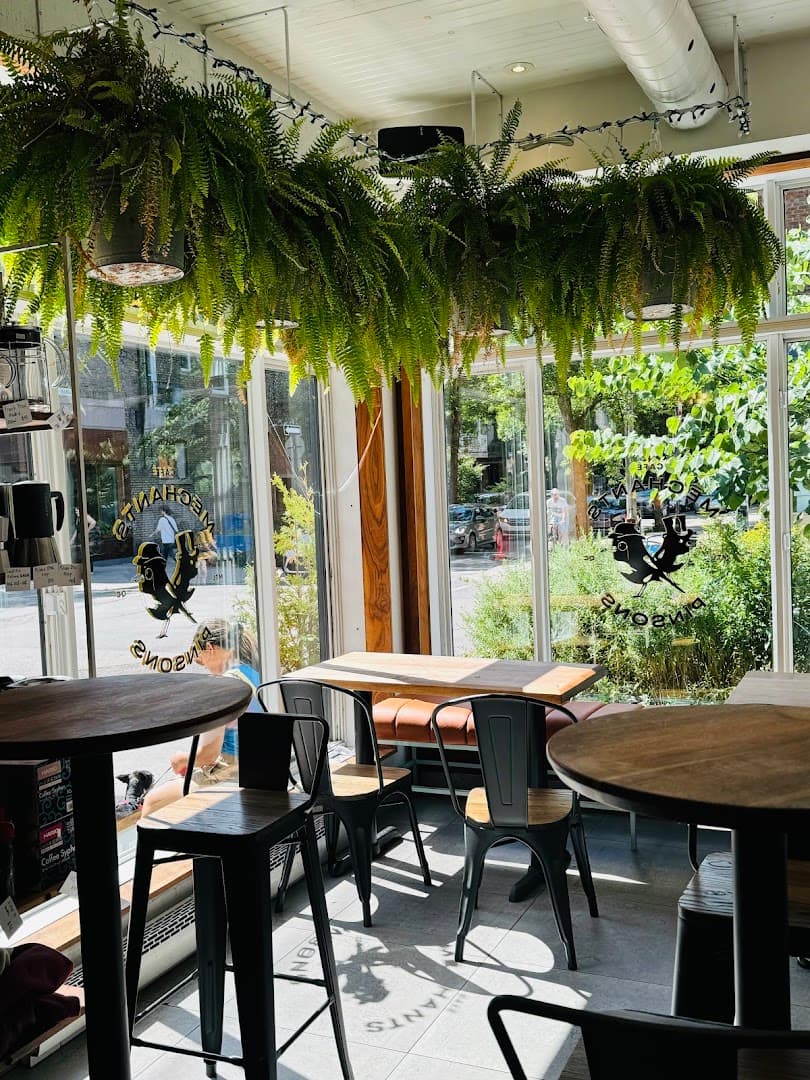 Méchants pinsons - specialty coffee shop in Montreal